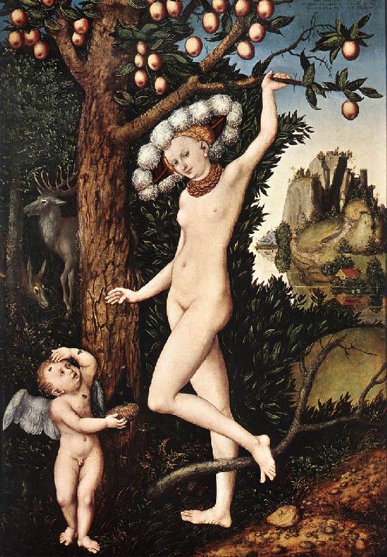 CRANACH, Lucas the Elder Cupid Complaining to Venus df oil painting image